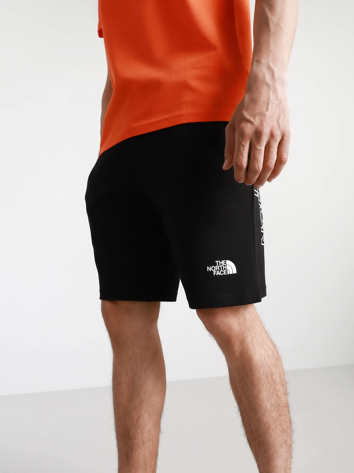 Шорты The North Face модель NF0A3S4FJK31 Шорты The North Face модель NF0A3S4FJK31 Фото