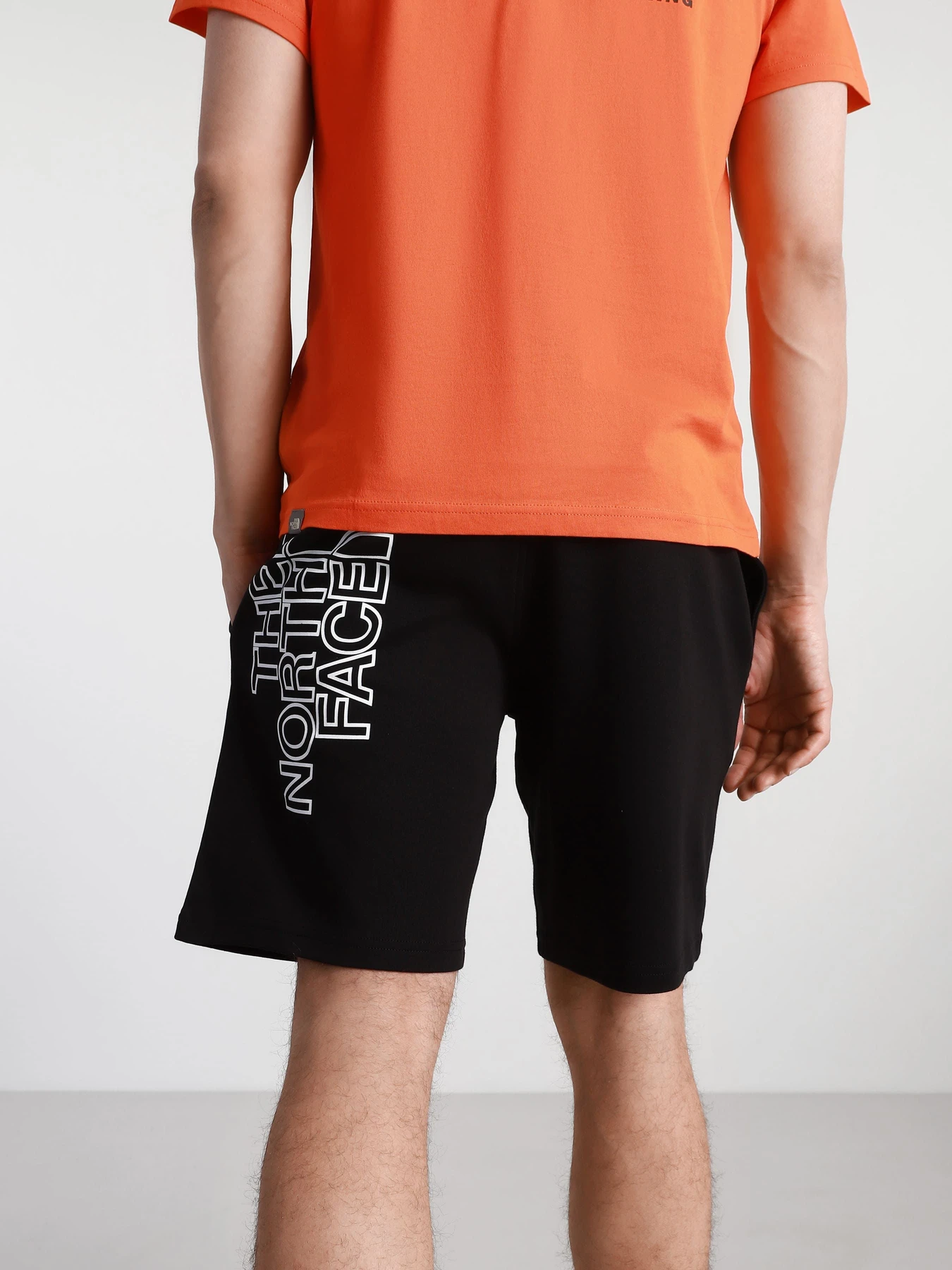 Шорты The North Face модель NF0A3S4FJK31 Шорты The North Face модель NF0A3S4FJK31 Фото