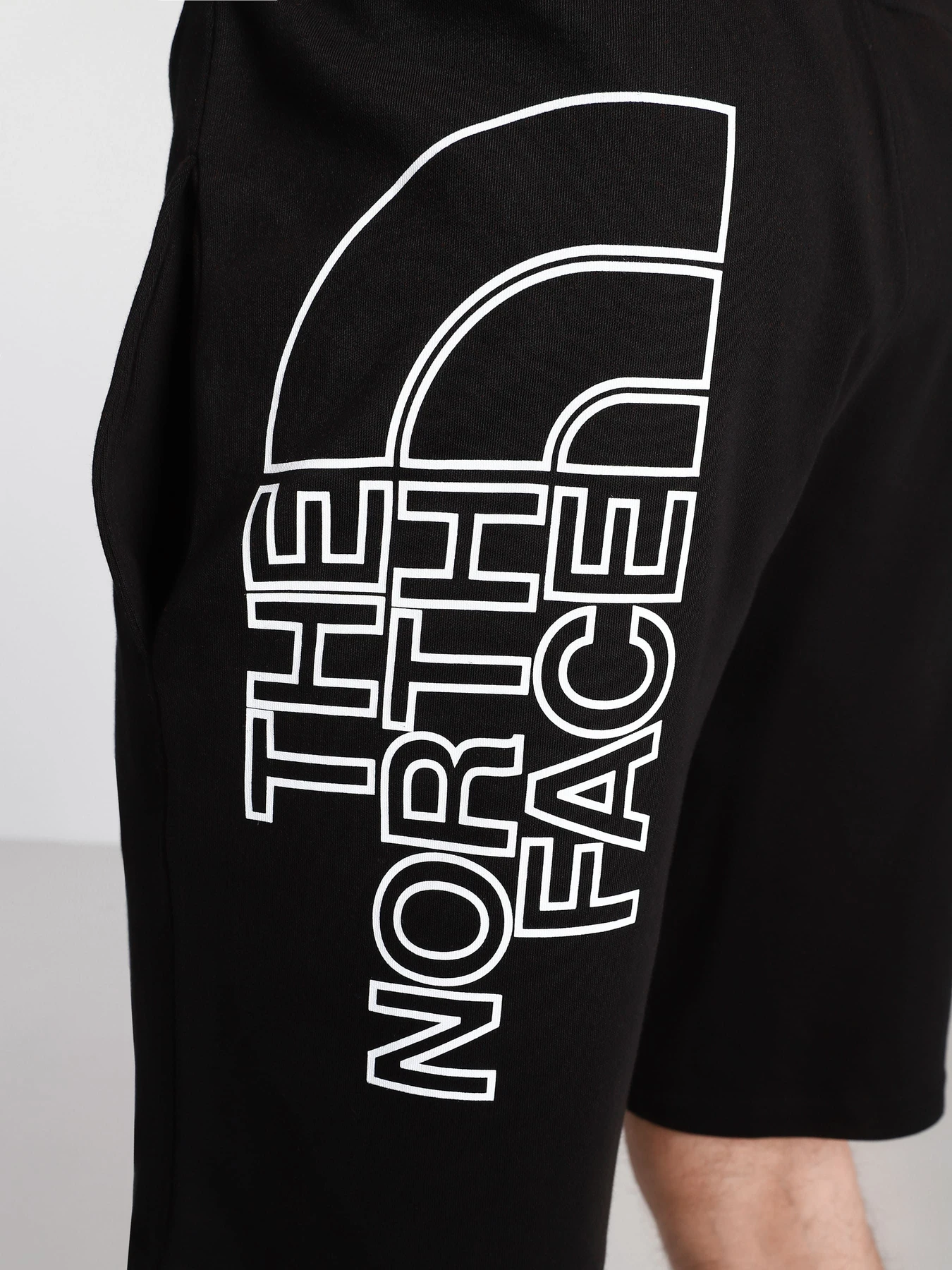 Шорты The North Face модель NF0A3S4FJK31 Шорты The North Face модель NF0A3S4FJK31 Фото