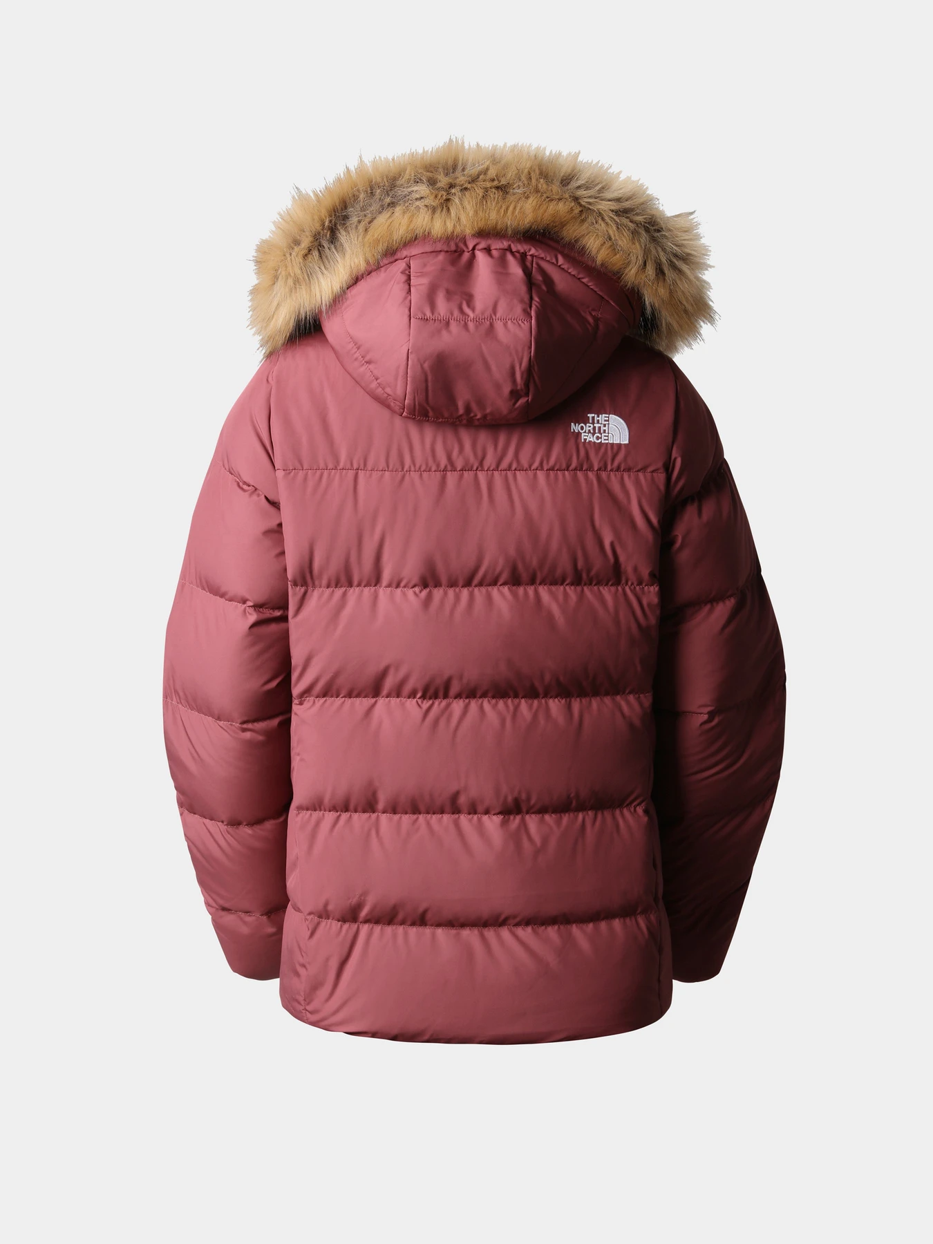 Куртки и дубленки The North Face модель NF0A4R336R41 Фото