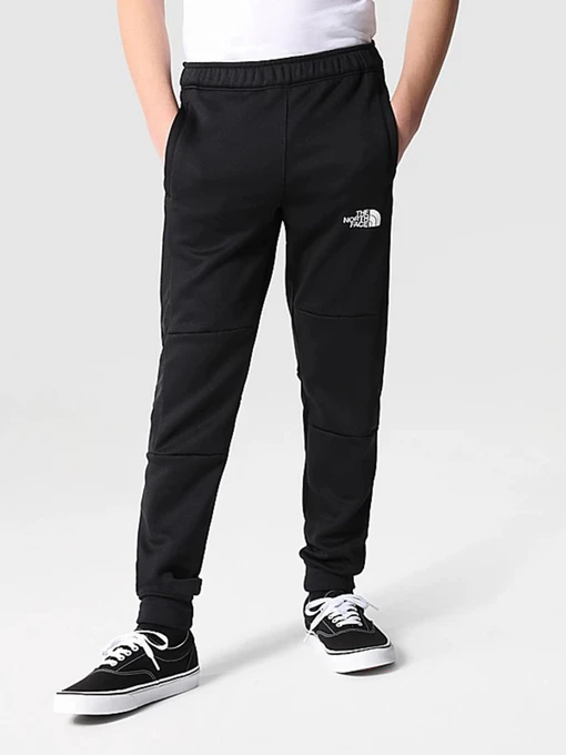 Брюки The North Face модель NF0A7X4EJK31 Фото