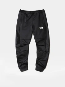 Брюки The North Face модель NF0A7X4EJK31 Фото