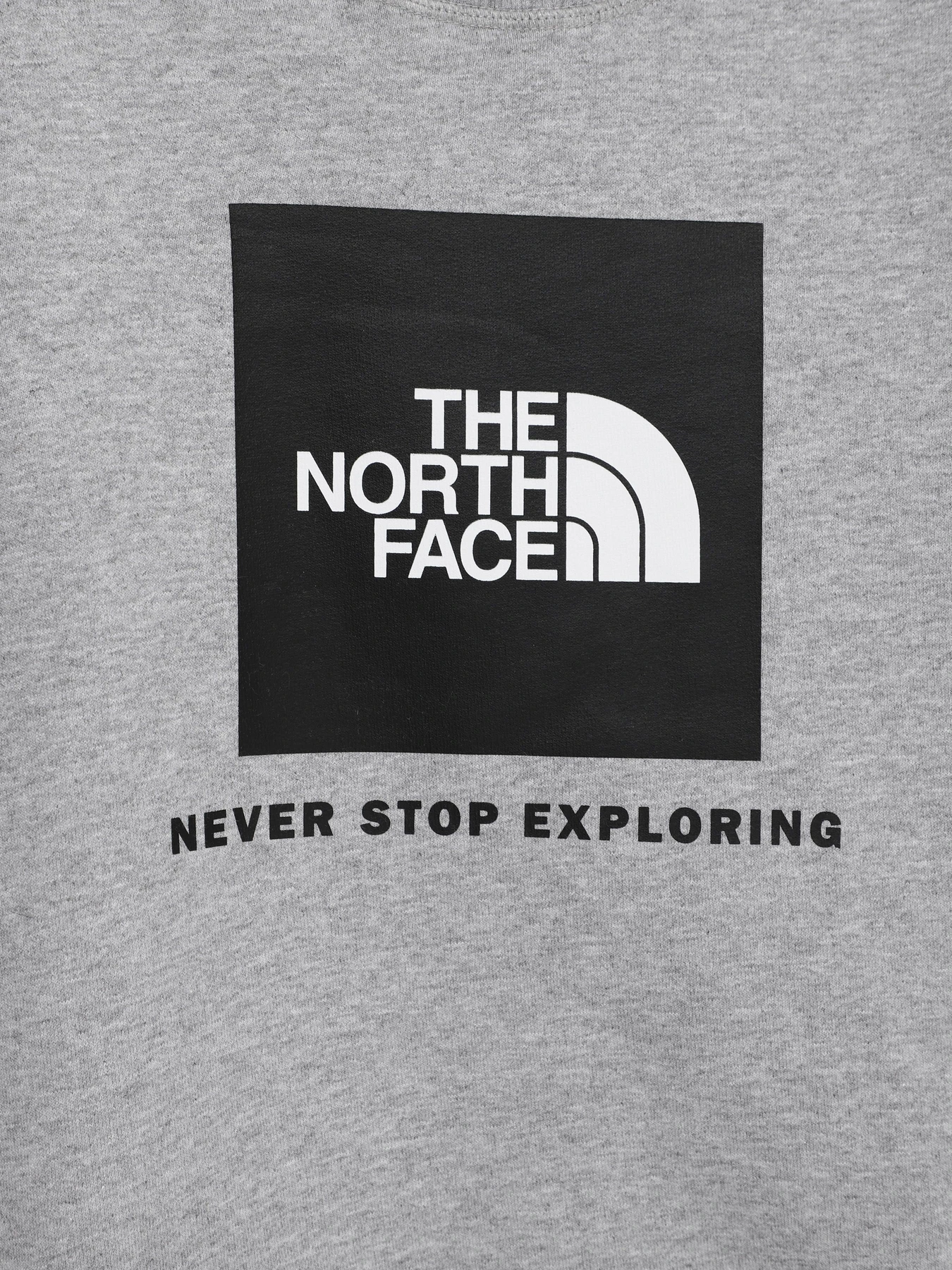Худи и свитшоты The North Face модель NF0A7X59DYX1 Худи и свитшоты The North Face модель NF0A7X59DYX1 Фото