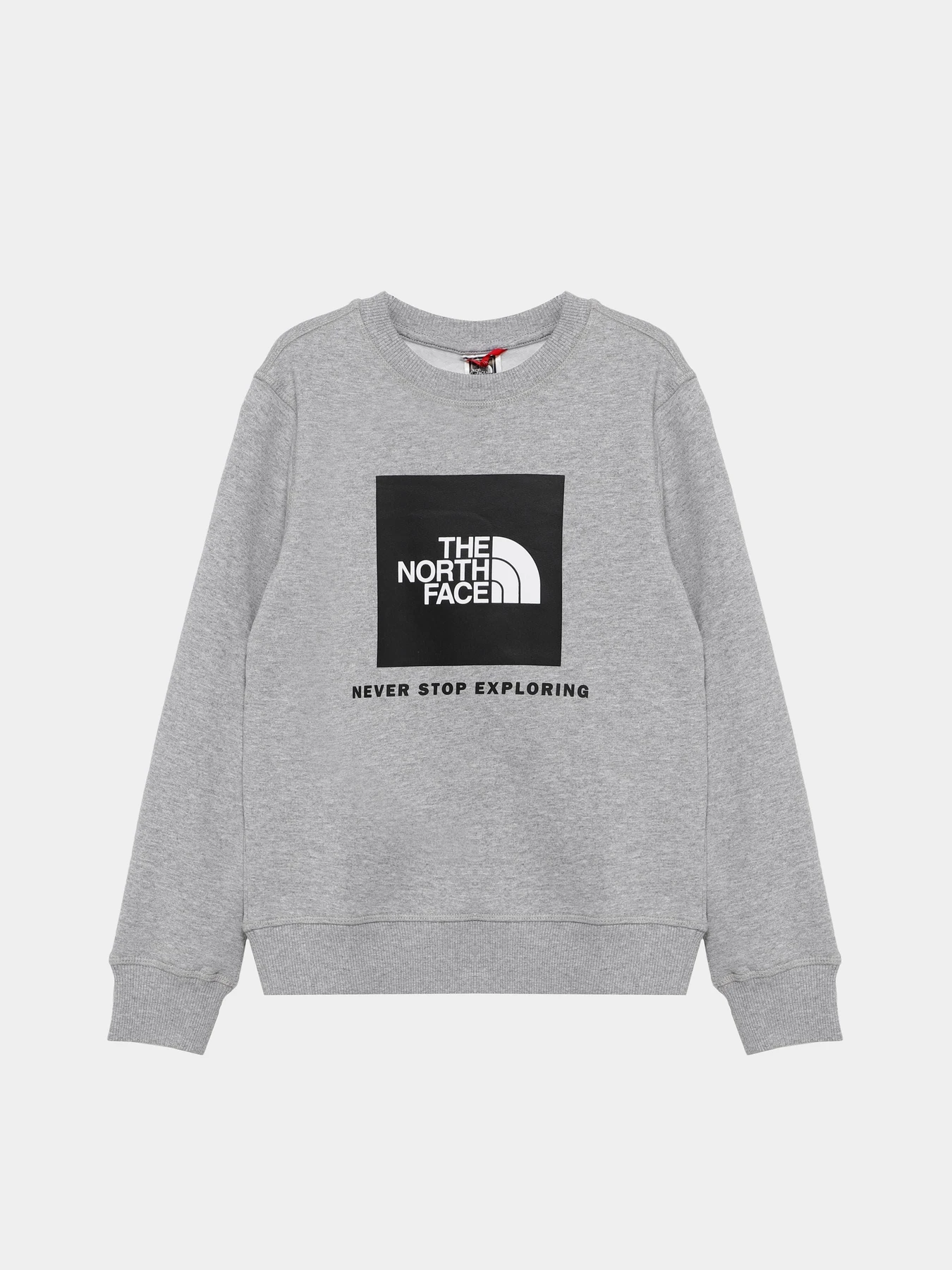 Худи и свитшоты The North Face модель NF0A7X59DYX1 Худи и свитшоты The North Face модель NF0A7X59DYX1 Фото
