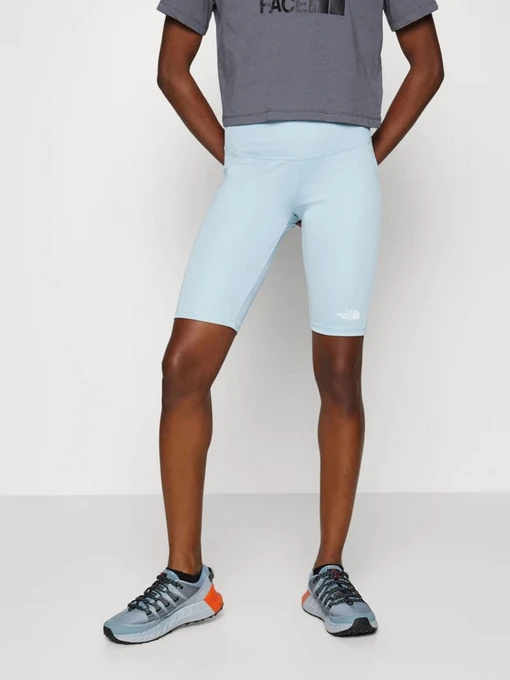 Шорты The North Face модель NF0A556E3R31 Фото