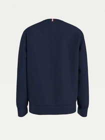 Худи и свитшоты Tommy Hilfiger модель KB0KB06568-C87 Фото