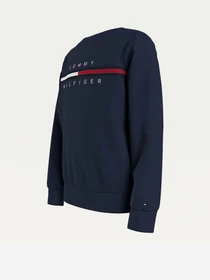 Худи и свитшоты Tommy Hilfiger модель KB0KB06568-C87 Фото