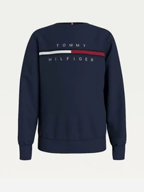 Худи и свитшоты Tommy Hilfiger модель KB0KB06568-C87 Фото