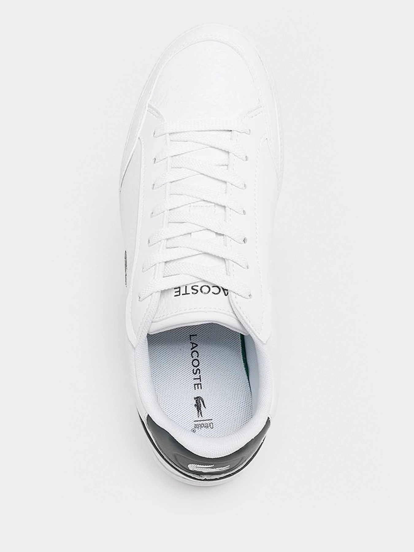 Кеды Lacoste модель 740SFA00151R5 Фото