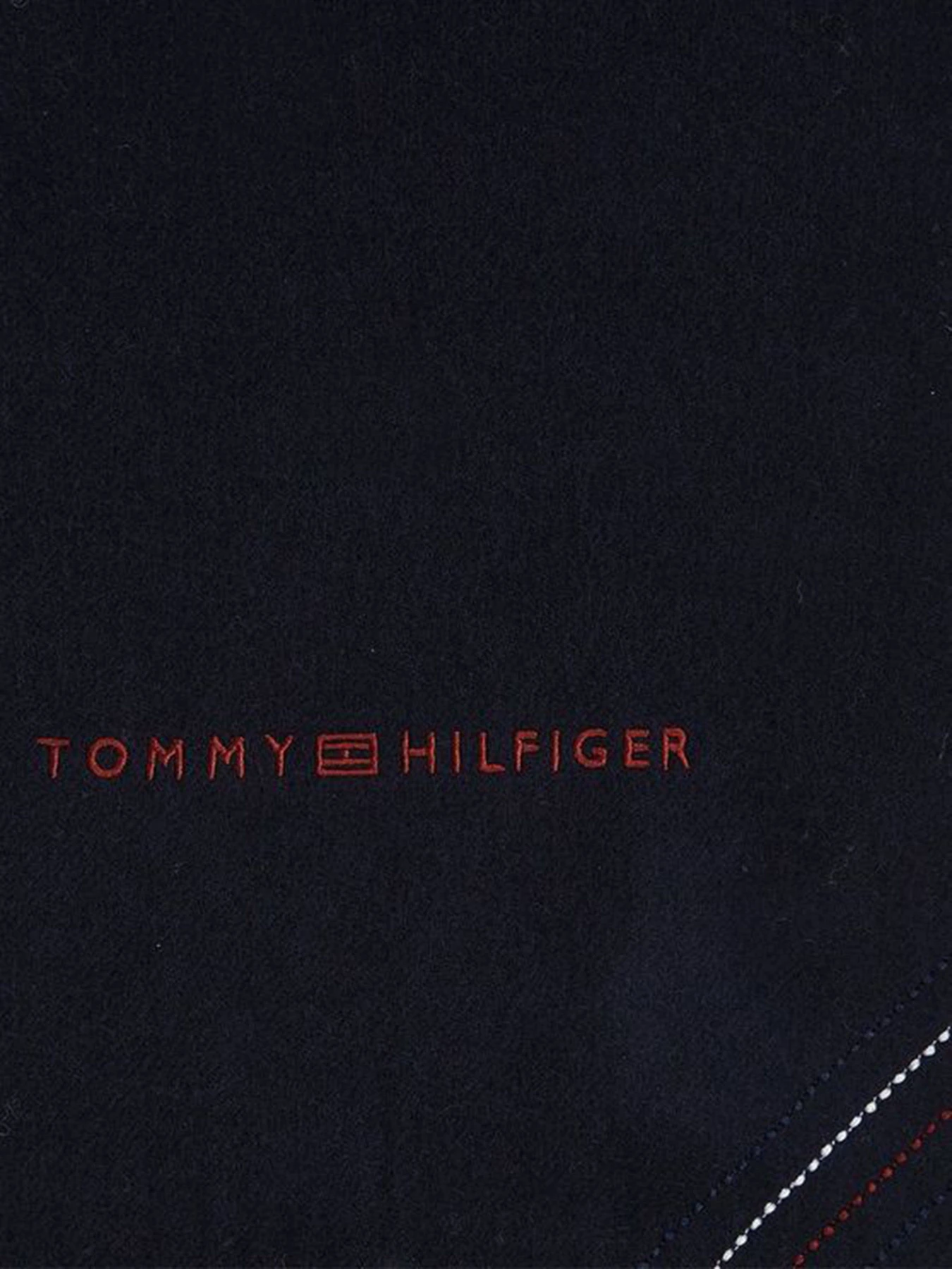 Шарфы и платки Tommy Hilfiger модель AM0AM10373-DW6 Фото