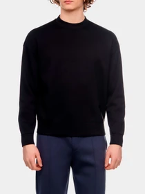Худи и свитшоты Emporio Armani модель 3R1MBH-1JRHZ-0999 Фото