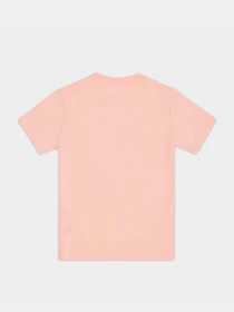 Футболки и поло CONVERSE модель 10024797-839 Фото