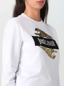 Худи и свитшоты Just Cavalli модель 74PBIF07-CJ200-G03 Фото