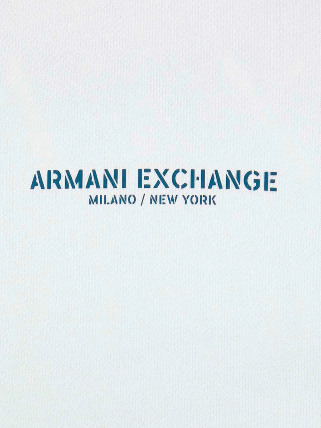 Худи и свитшоты Armani Exchange модель 6RZMLG-ZJ4XZ-91AE Фото