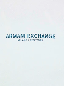 Худи и свитшоты Armani Exchange модель 6RZMLG-ZJ4XZ-91AE Фото