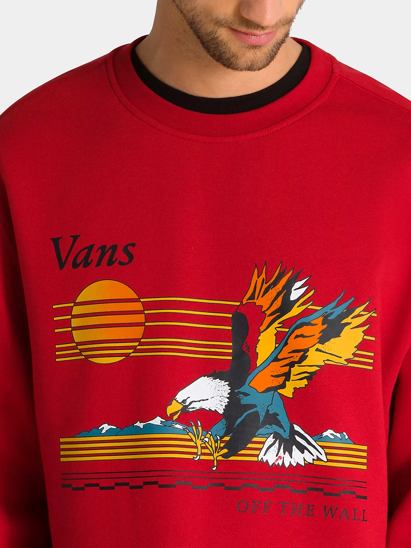 Худи и свитшоты Vans модель VN0008H614A1 Фото