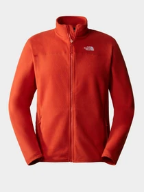 Худи и свитшоты The North Face модель NF0A5IHQLV41 Фото