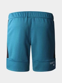 Шорты The North Face модель NF0A823OES31 Фото