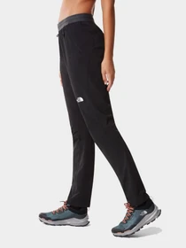 Брюки The North Face модель NF0A5IFGJK31 Фото