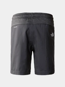 Шорты The North Face модель NF0A82E7I8H1 Фото