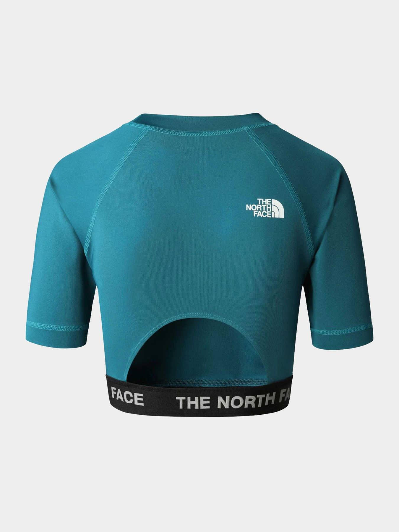 Футболки и поло The North Face модель NF0A824FEFS1 Футболки и поло The North Face модель NF0A824FEFS1 Фото