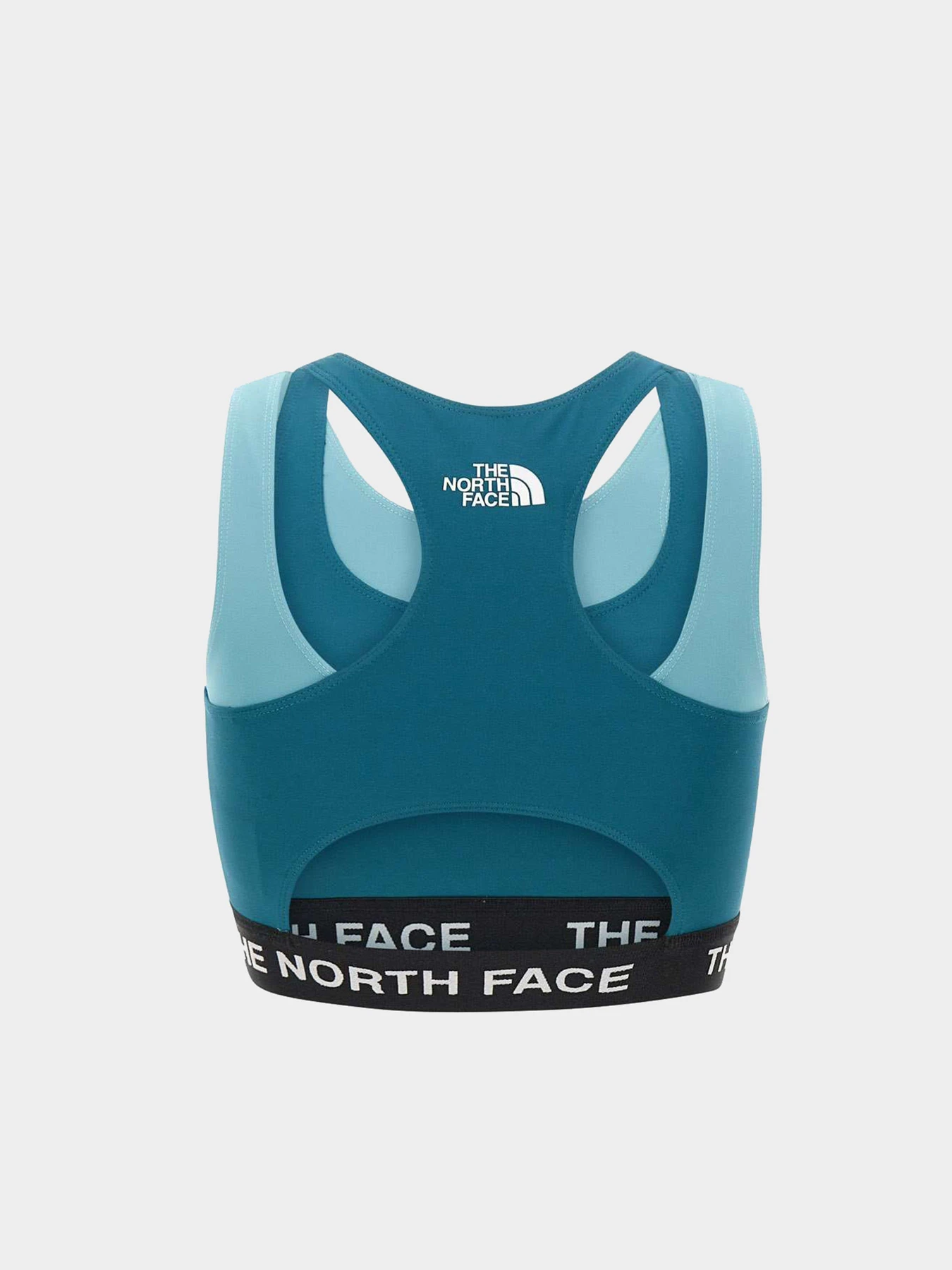 Футболки и поло The North Face модель NF0A824MP6C1 Футболки и поло The North Face модель NF0A824MP6C1 Фото