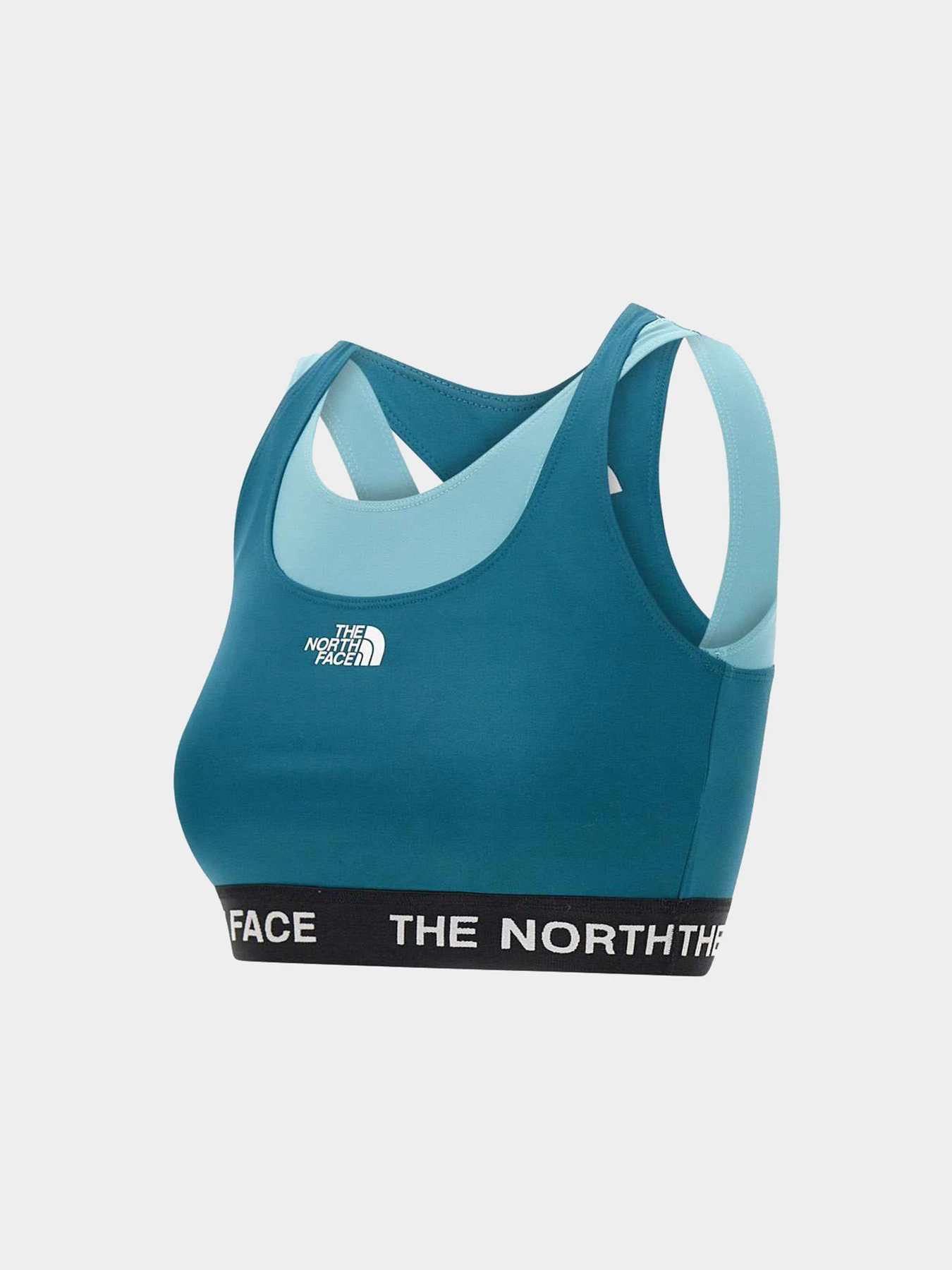 Футболки и поло The North Face модель NF0A824MP6C1 Футболки и поло The North Face модель NF0A824MP6C1 Фото