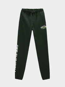 Брюки Vans модель VN00088EBD61 Фото