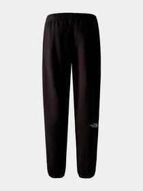 Брюки The North Face модель NF0A7ZJBJK31 Фото