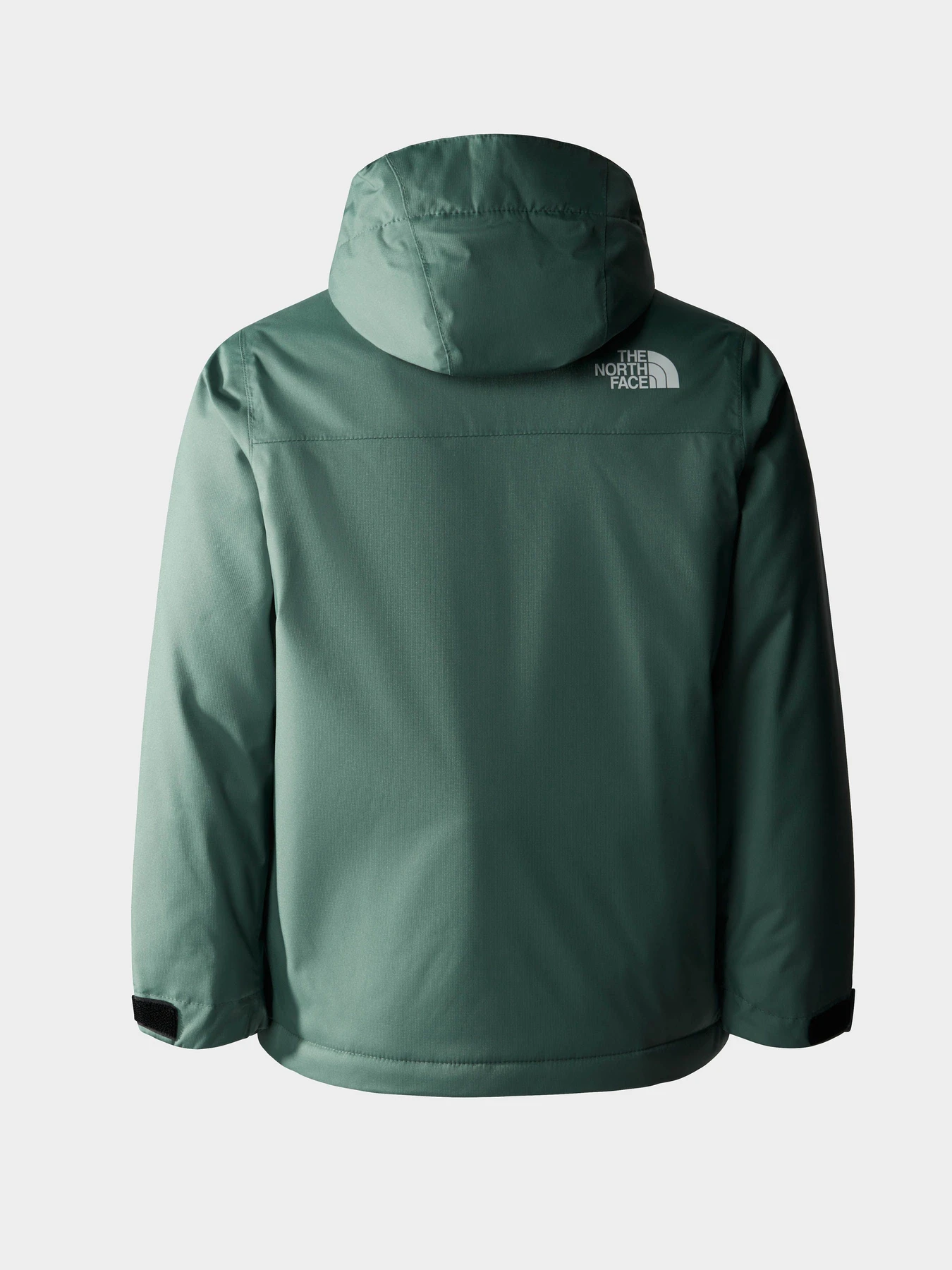 Куртки и дубленки The North Face модель NF0A8554I0F1 Куртки и дубленки The North Face модель NF0A8554I0F1 Фото