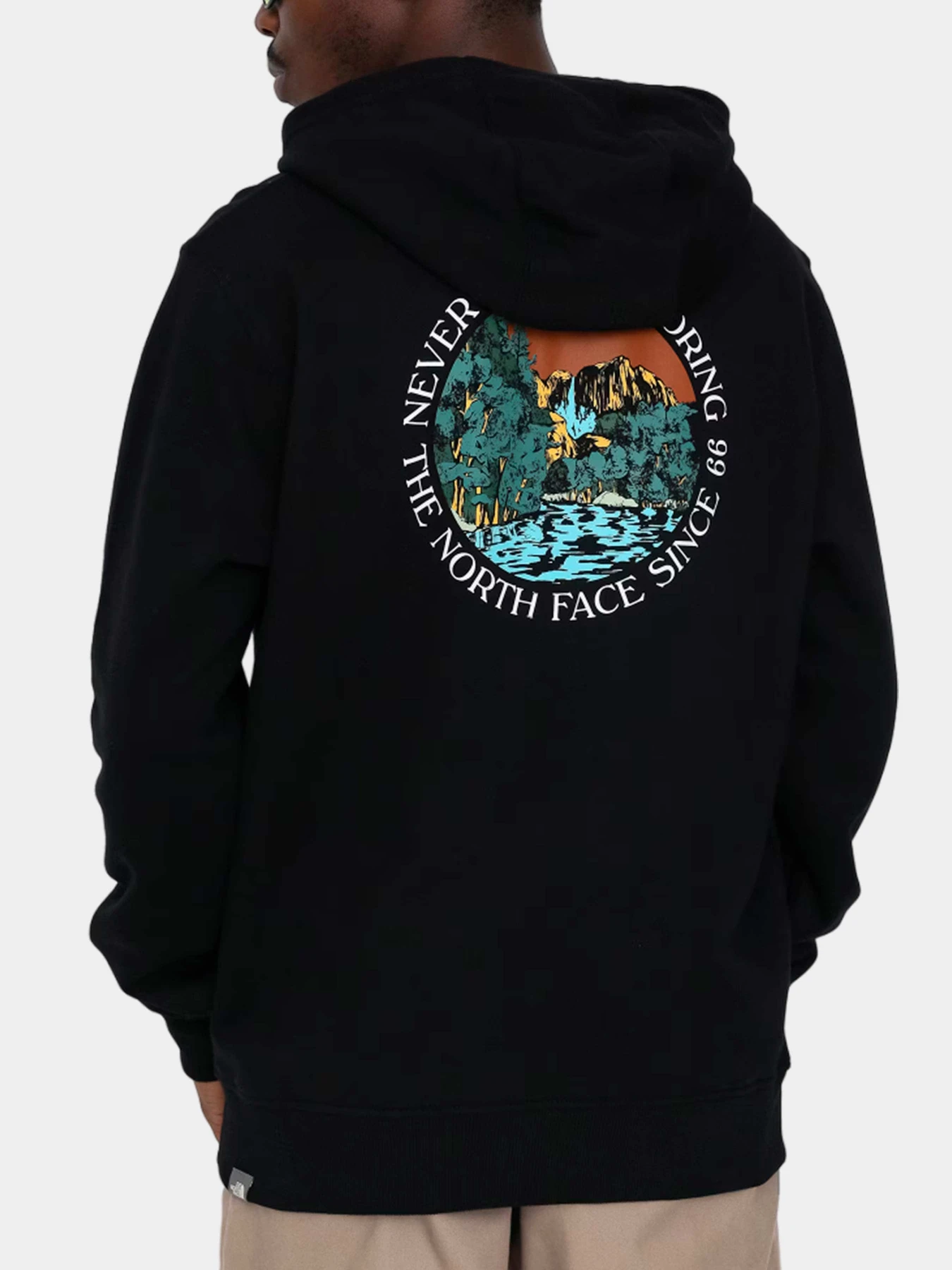 Худи и свитшоты The North Face модель NF0A7X1PUW91 Худи и свитшоты The North Face модель NF0A7X1PUW91 Фото