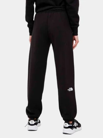 Брюки The North Face модель NF0A7ZJFJK31 Фото