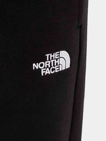 Брюки The North Face модель NF0A7ZJFJK31 Фото