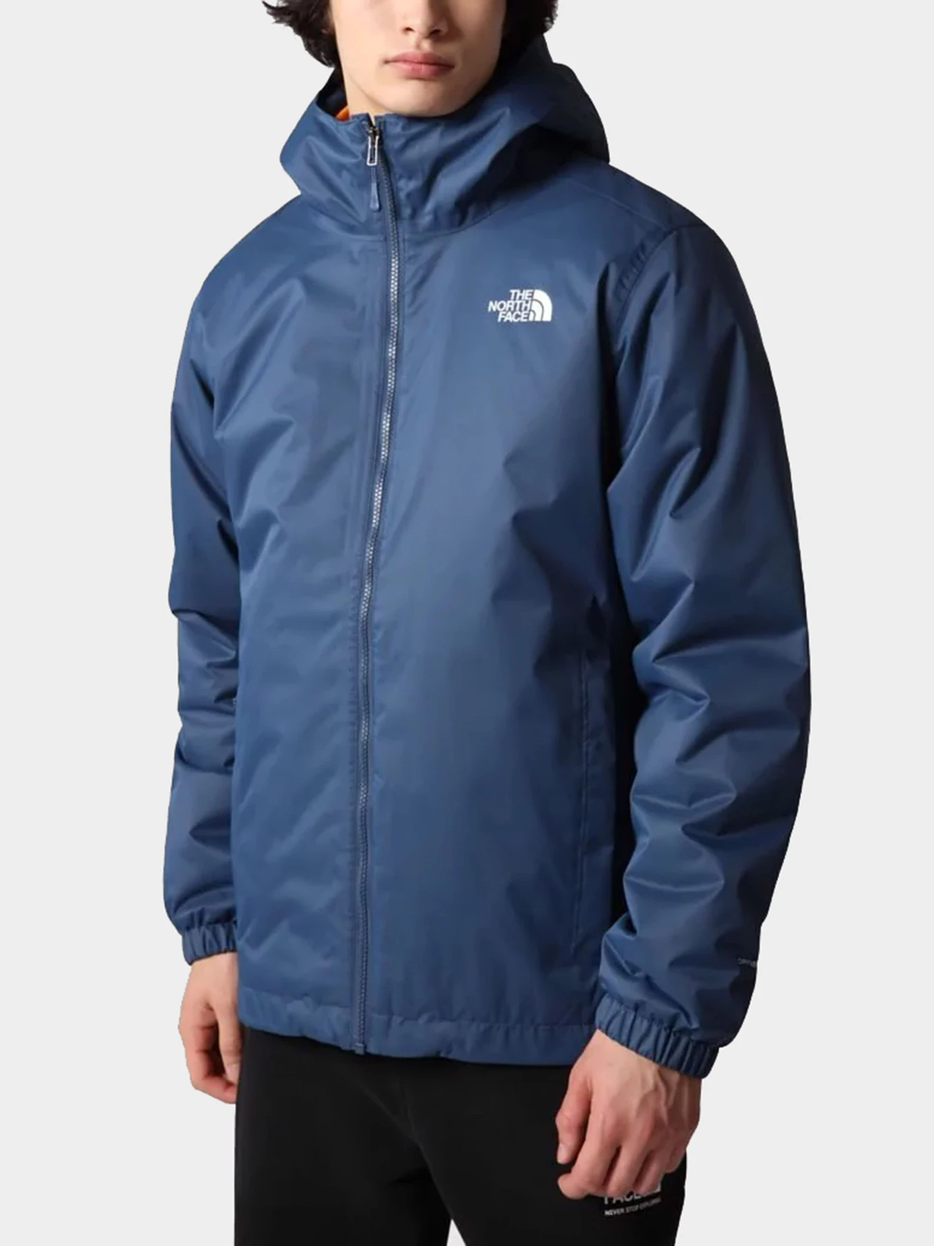 Куртки и дубленки The North Face модель NF00C302JRQ1 Куртки и дубленки The North Face модель NF00C302JRQ1 Фото