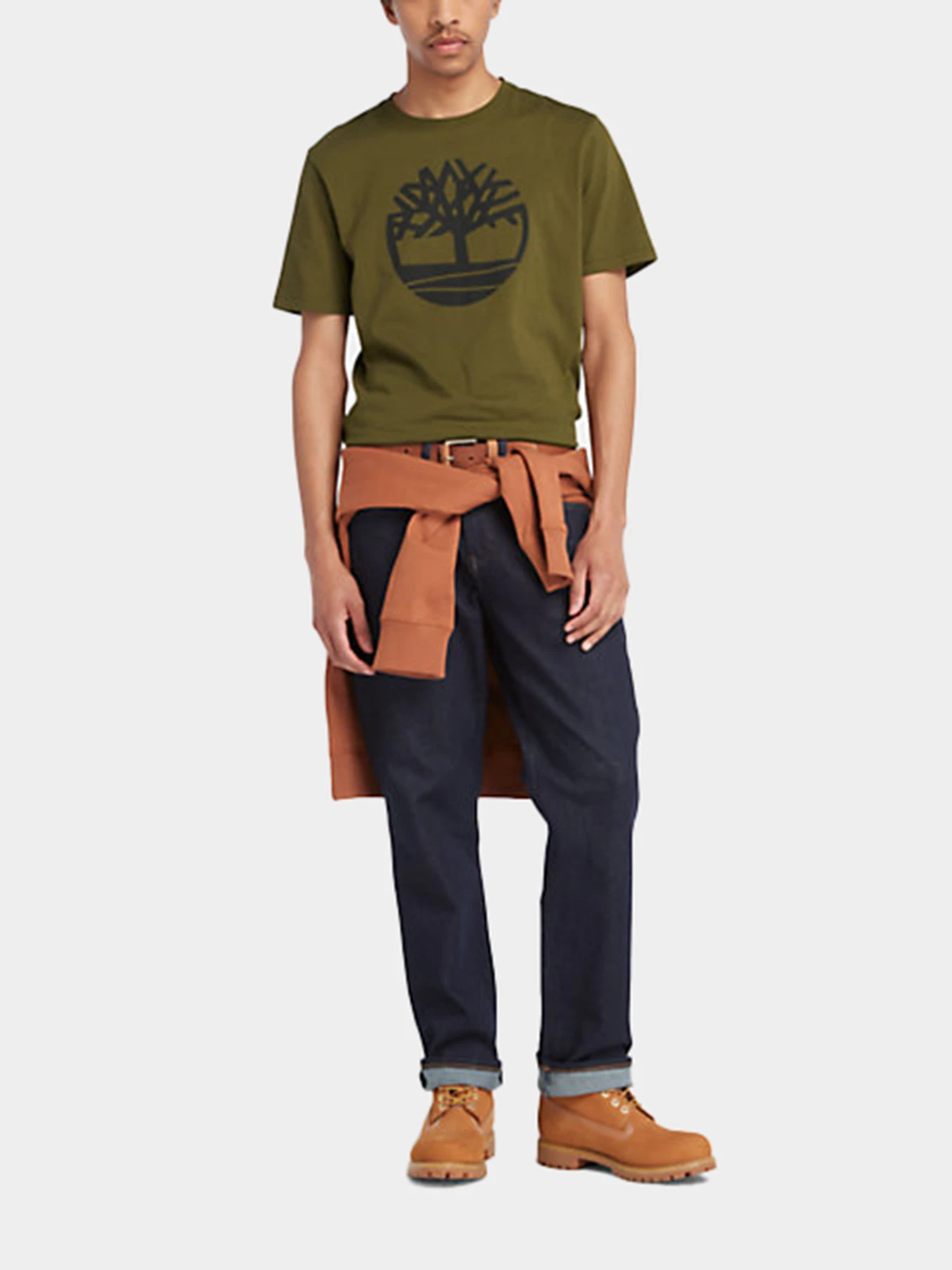 Футболки и поло Timberland модель TB0A2C2R302 Футболки и поло Timberland модель TB0A2C2R302 Фото