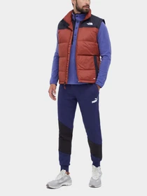 Куртки и дубленки The North Face модель NF0A4M9KWEW1 Фото