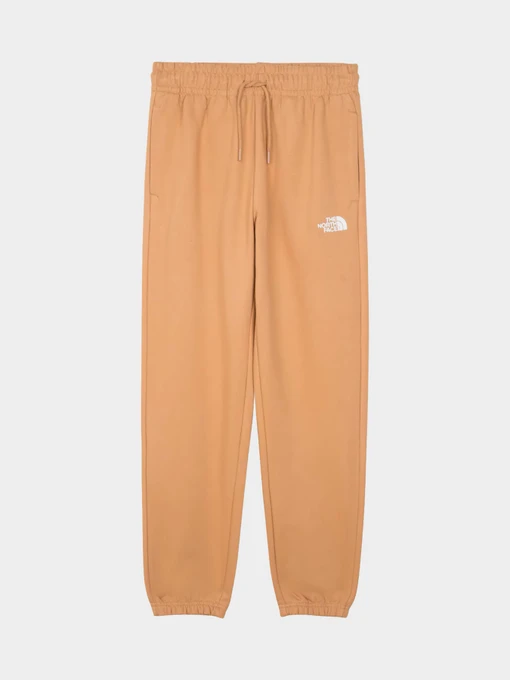 Брюки The North Face модель NF0A7ZJFI0J1 Фото