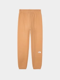 Брюки The North Face модель NF0A7ZJFI0J1 Фото