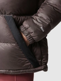 Куртки и дубленки The North Face модель NF0A7ZGF7T41 Фото