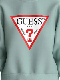 Худи и свитшоты GUESS модель W2YQ16-KBA10-G8DD Фото