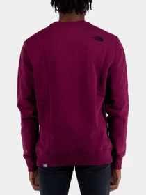 Худи и свитшоты The North Face модель NF0A4SVRI0H1 Фото