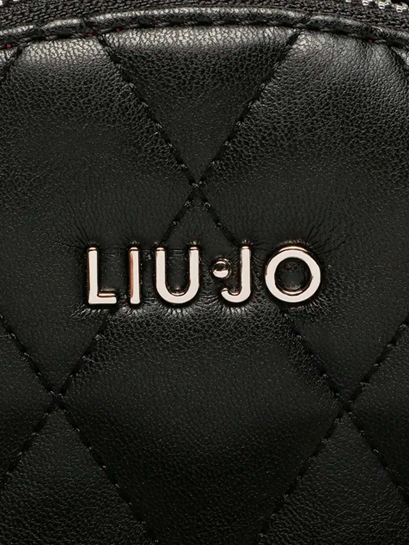 Рюкзаки Liu Jo модель AF3255 E0426 22222 Рюкзаки Liu Jo модель AF3255 E0426 22222 Фото