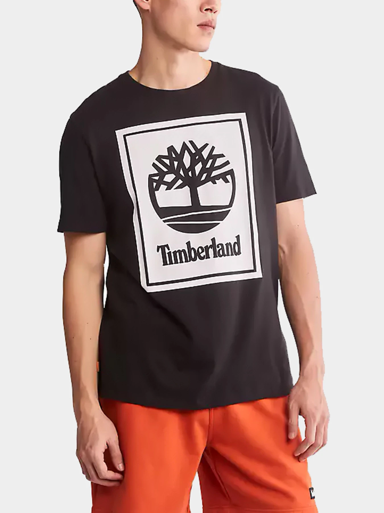 Футболки и поло Timberland модель TB0A2AJ1N92 Футболки и поло Timberland модель TB0A2AJ1N92 Фото