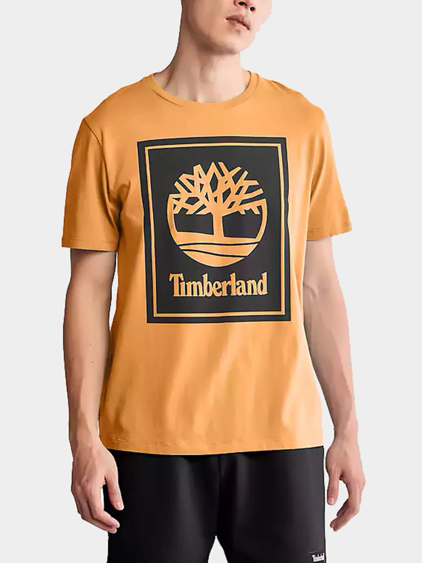 Футболки и поло Timberland модель TB0A2AJ1P57 Футболки и поло Timberland модель TB0A2AJ1P57 Фото