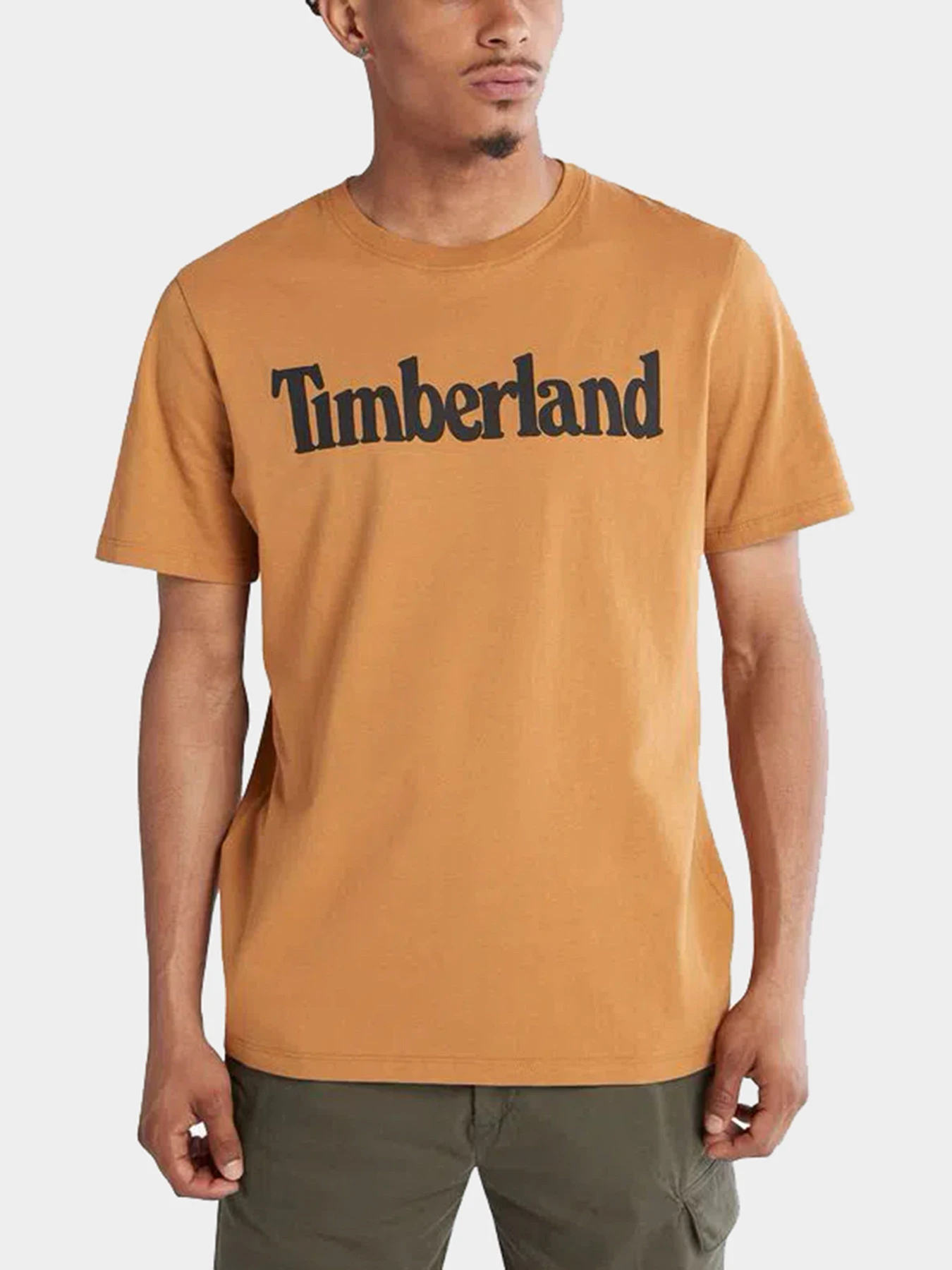 Футболки и поло Timberland модель TB0A2BRNP47 Футболки и поло Timberland модель TB0A2BRNP47 Фото
