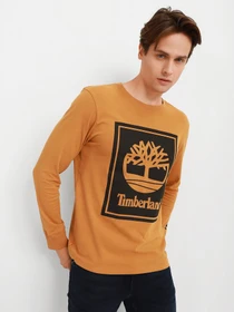 Худи и свитшоты Timberland модель TB0A2CMKP57 Фото