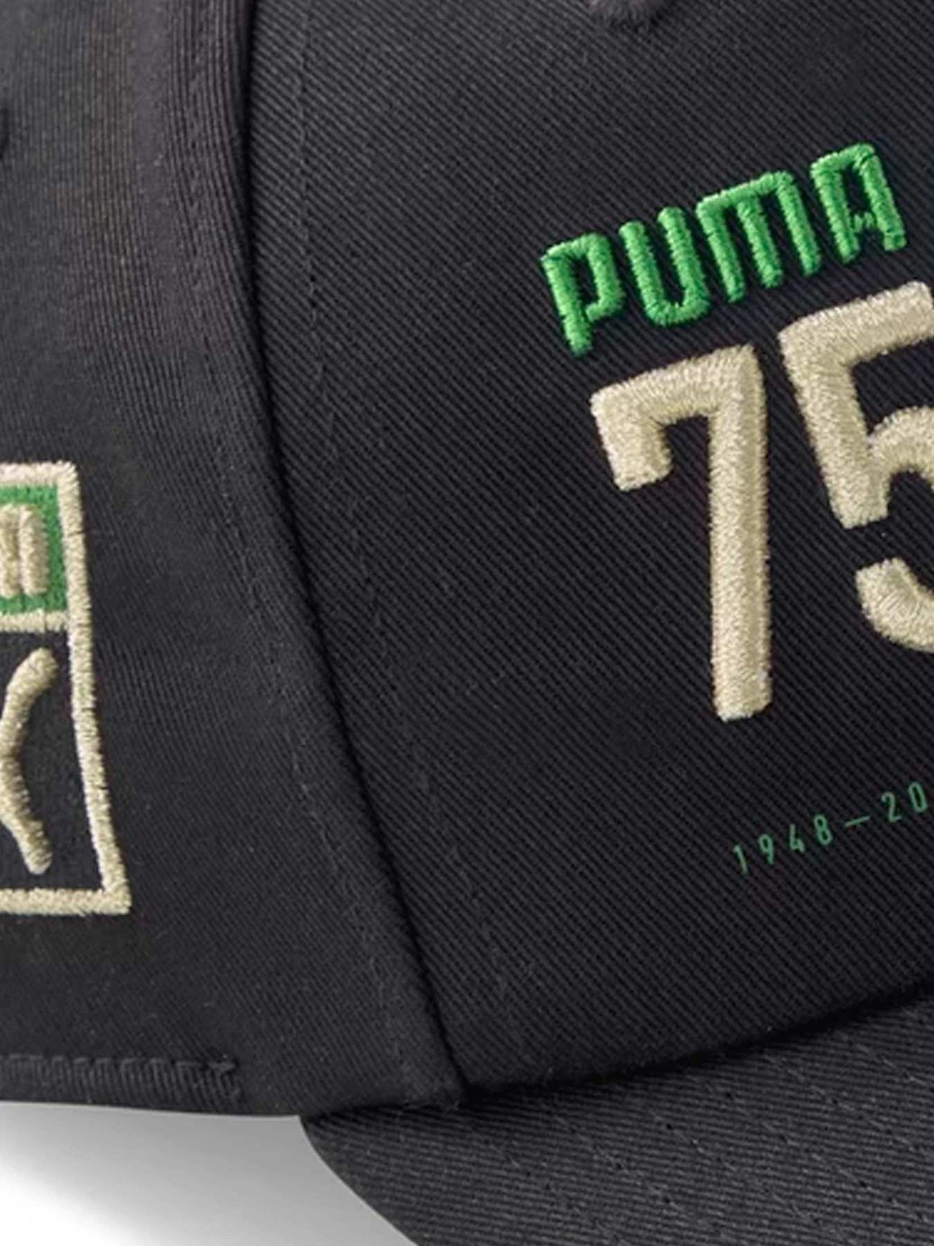 Шапки и кепки PUMA модель 02438401 Шапки и кепки PUMA модель 02438401 Фото