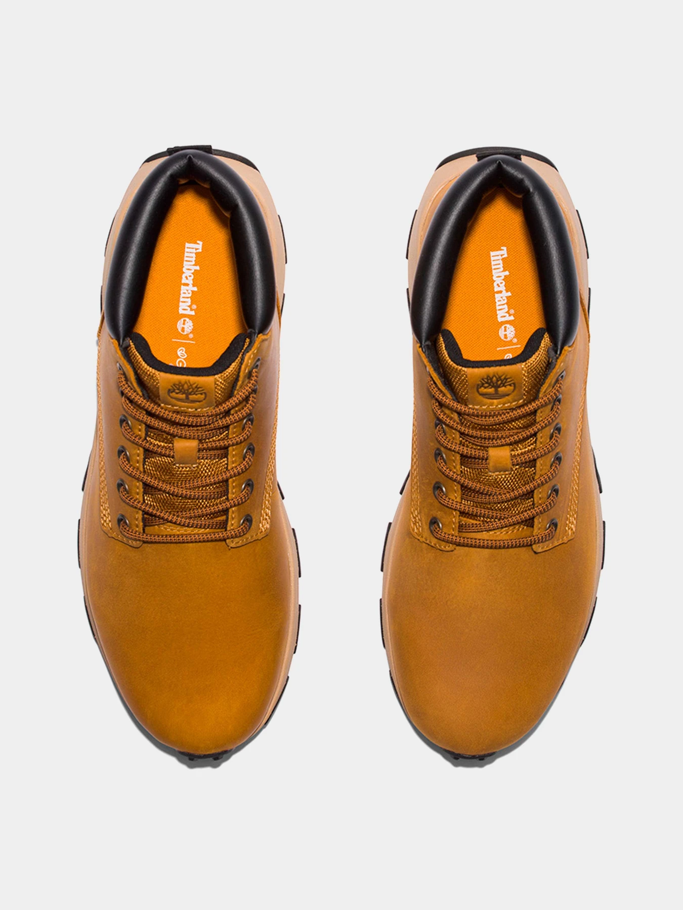 Полуботинки Timberland модель TB0A5Y7H231 Полуботинки Timberland модель TB0A5Y7H231 Фото