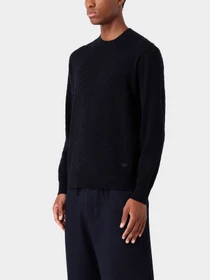 Худи и свитшоты Emporio Armani модель 6R1MX9-1MCWZ-F979 Фото