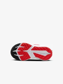 Кроссовки NIKE модель DX7614-600 Фото